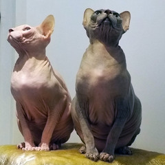 Loneliness real love - peter coyle fractal