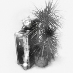 Techno Tomato