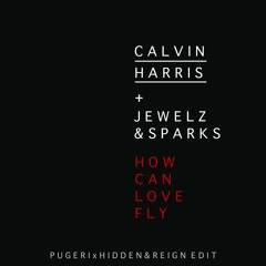 Jewelz & Sparks x Calvin Harris & Tyron Hapi - How Can Love Fly (PUGERI x Hidden&Reign Edit)