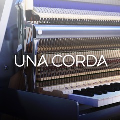 UNA CORDA Harmonics Theme