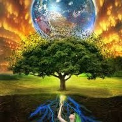 Dreams