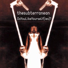 thesubterranean - Do You Like Yourself(ies)?