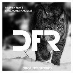 Steven Roys - Lynx (Original mix)