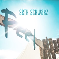 SETH SCHWARZ - Feel Festival 2015
