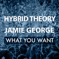 Hybrid Theory x Jamie George - What You Want