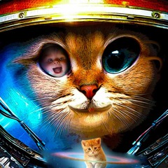 ThE SpaCe PusSy CaT