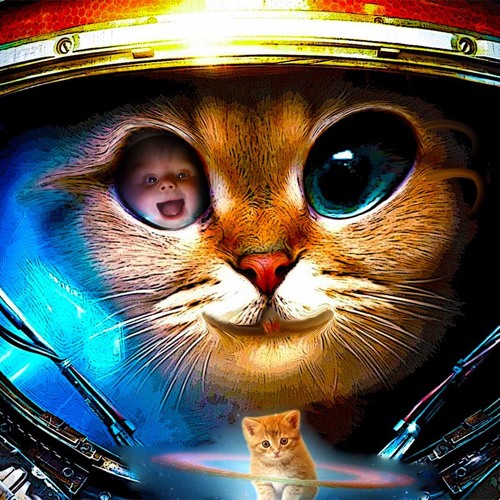 ThE SpaCe PusSy CaT