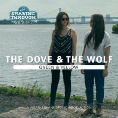 The Dove & The Wolf - Green & Yellow | Shaking Through