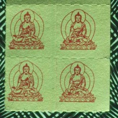 Buddha Himalaya Trip