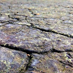 Dehydrated metal