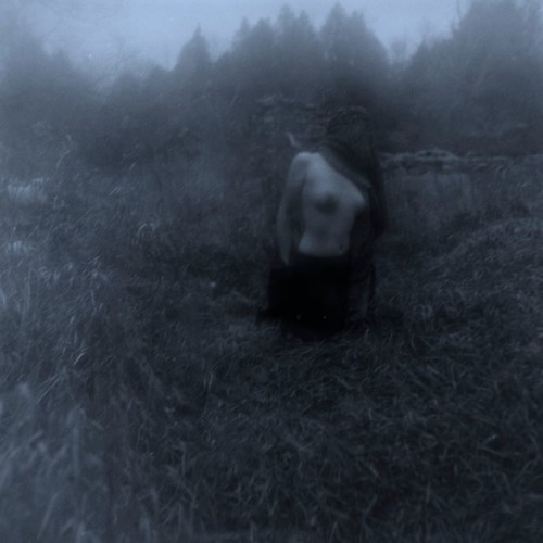 Kanashibari (Numback - Snowdrop)