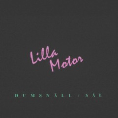 Lilla Motor - Dumsnäll Säl / Patrik 30