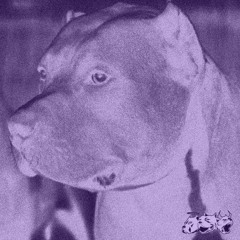 CRAIG XEN - ALPHA PIT [CHOPPED X SLUGGED]