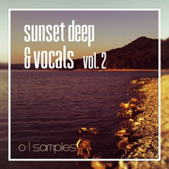 Sunset Deep & Vocals 2 Construction Kits