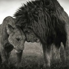 Bonnie & Clyde (Prod. By Flayvour Beatz)