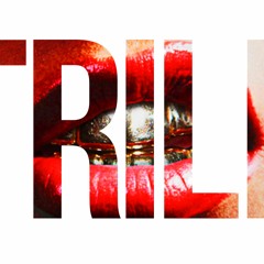 Evidenze FtBig Rick - I Think They Like Me(Young Joc On Hook)