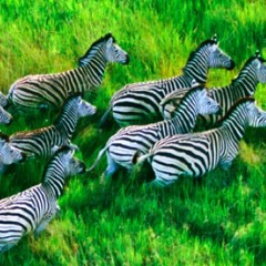 Basic Brass & Bones()