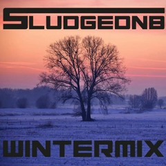 Winter Mix Sludge DnB