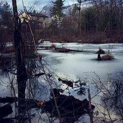 Catalina Fight Song (Joyce Manor Cover)