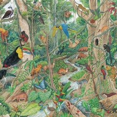 MixArtifakt Contra La Interpretación