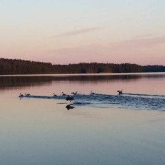Sunset Lake