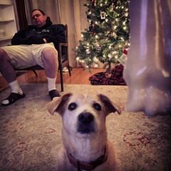 Wonderful World of Kim Shattuck Holiday Podcast 2015