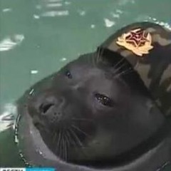 Conrovbichovshigorbichovkitoshka