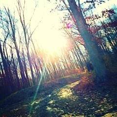 Good Life