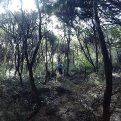 MERRYLAND - Dub Techno/ Downbeat