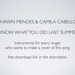 "Shawn Mendes & Camila Cabello - I know what you did last summer" Instrumental Acoustic Version