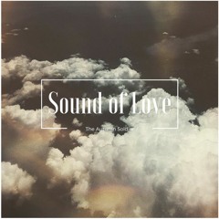 Sound of Love (The Autumn Soldier Remix) - Style O, Ronni-Lee