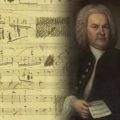 The Bach's Journey