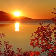 Katya Burova - Moya Lyubimaya Ptica