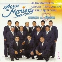Agua Marina - Vive Sin Mi _ Paloma Ajena _ Ni Perdon Ni Olvido.mp3