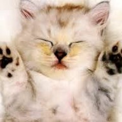 玖壹壹串燒 超重低音