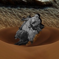 Головогрудь - Мартин Иден