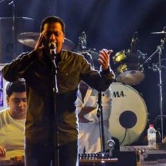 حفل الاسكندرية - قل للمليحة - علي الهلباوي