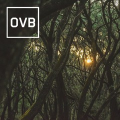Oli Van Baum - Uptight (Bootleg)