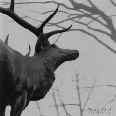 Agalloch - I Am The Wooden Doors