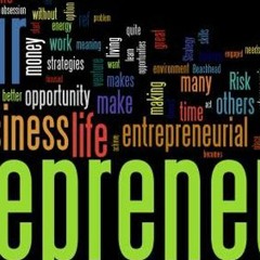ENTERPRENEUR WANNABE - 1st Edition
