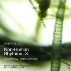 Non Human Orchestra: First Part