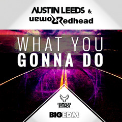 Redhead Roman & Austin Leeds - What You Gonna Do (Original Mix)*FREE DOWNLOAD*