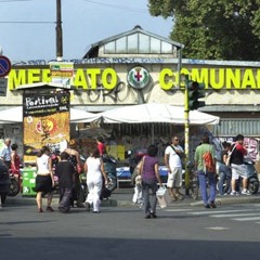 officina della camomilla - Luna artificiale