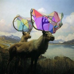 Geometric Dream