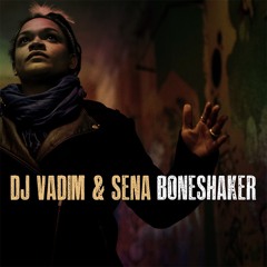DJ Vadim & Sena - Boneshaker (Mr Birds Afrodubhop Remix)