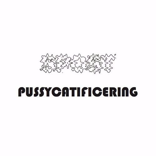 Spost - Pussycatificering