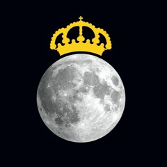 The Bees – Winter Rose (Nicolas Jaar Remix) (x1.25 speed up version)