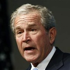 Bushsssnake