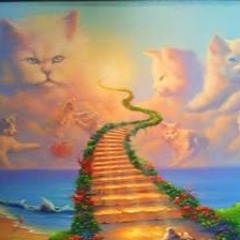 Stairway to heaven vs. Eminem lose yourself