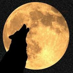GateWay To The Moon